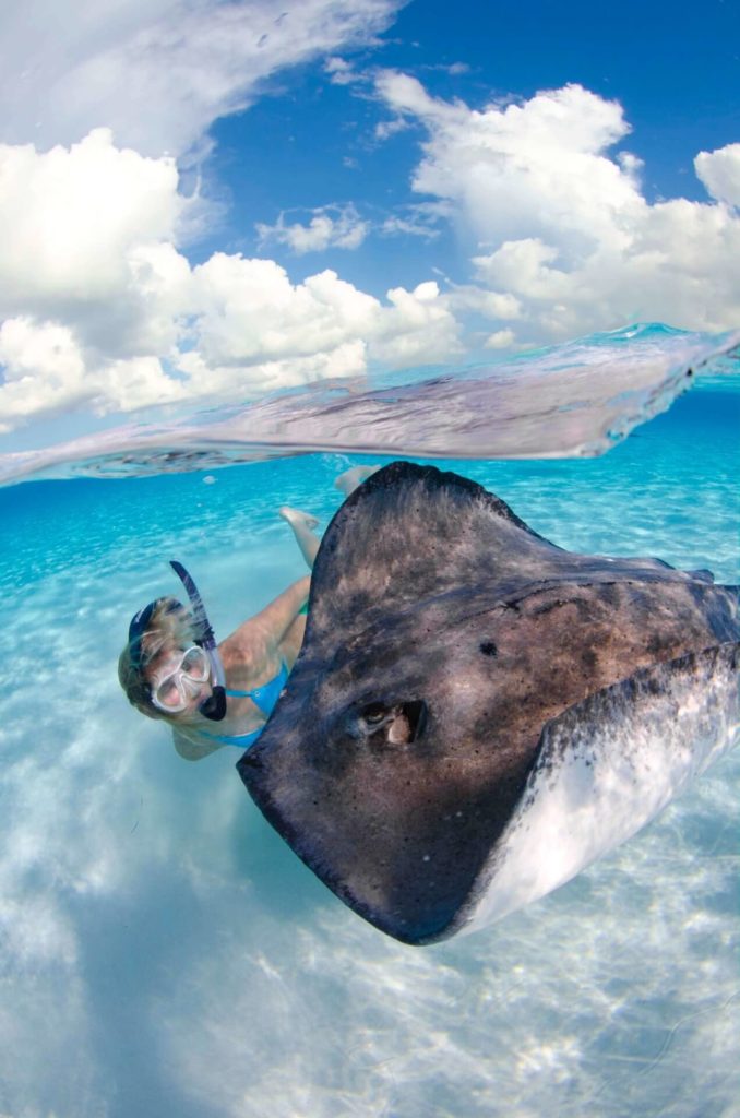 Swim with Stingrays with Five Star Charters Grand Cayman